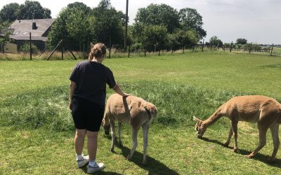 Wenn Tiere trösten: Alpakas und Eichhörnchen spenden stille Nähe
